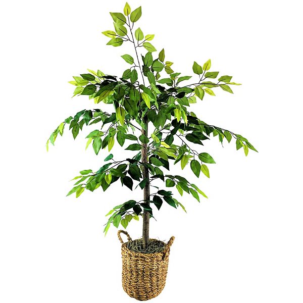 Artificial Ficus Basket Floor Decor