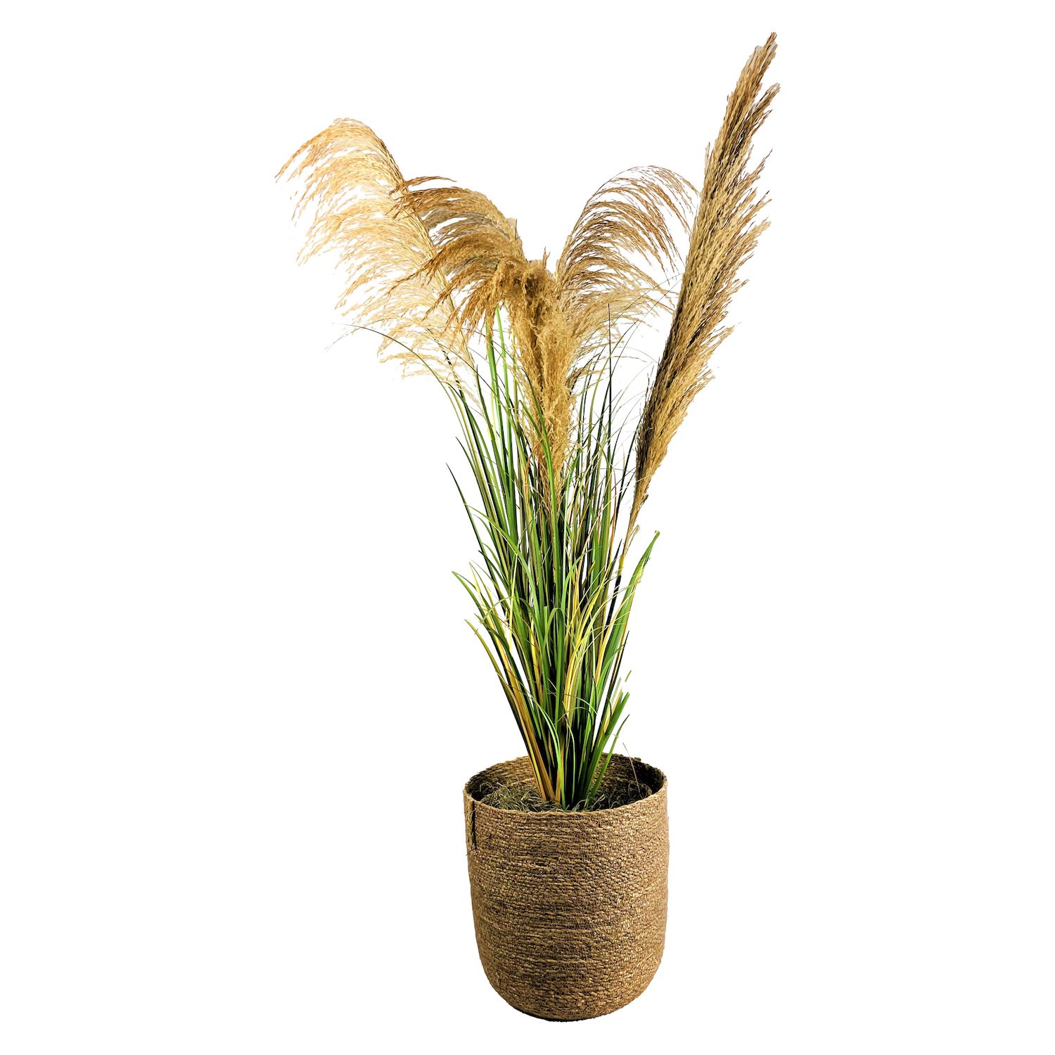 Grass piume in vaso 153cm pk L057PK 8051577261808