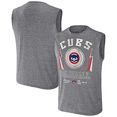 Chicago Cubs Shirt Mens Large Fanatics Wrigley Field Gray Graphic Tee