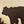 Bronze Bear