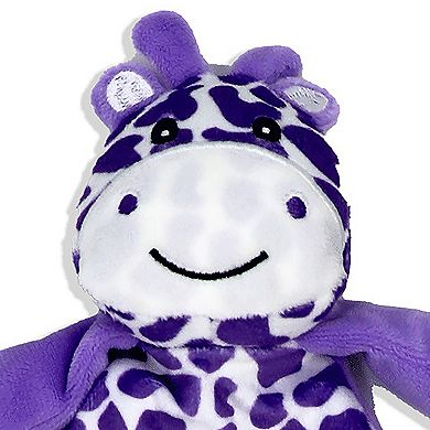 Baby Boys and Baby Girls Crinkle Activity Toy