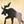 Bronze Moose