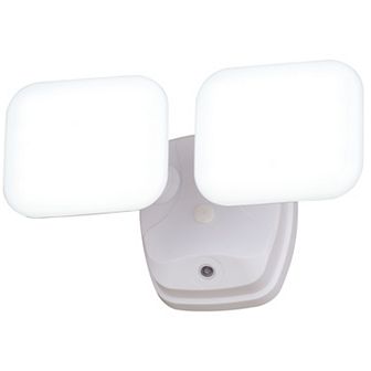 Theta 2 Light LED Outdoor Dusk to Dawn Security Flood Light White