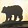 Bronze Bear