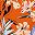 Orange Beige
