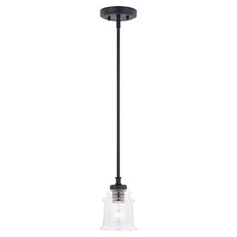 Toledo Farmhouse Mini Pendant Ceiling Light Fixture Clear Glass