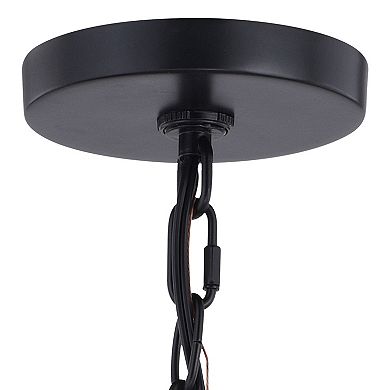 Hayes Black Farmhouse Cage Pendant Lantern Ceiling Light Fixture