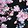 Black Pink Multi