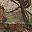 Realtree Ap Green