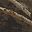 Realtree Max 5