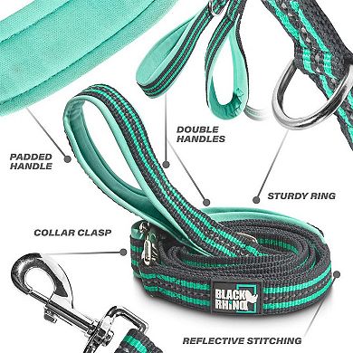 Double Handle Reflective Dog Leash for Safety Control Training