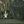 Dark Loden