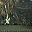 Dark Loden