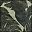 Dark Loden