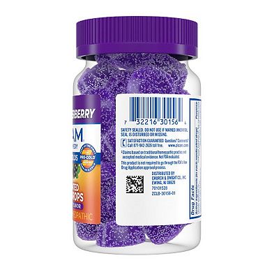 Zicam Zinc Cold Remedy Medicated Fruit Drops Plus Elderberry - 25-ct.