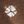 Brown Dot Dye