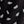 Black Modern Palm