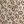Beige Little Floral