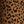 Brown Small Cheetah