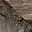 Weathered Gray