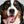 Bernese Mountain Dog