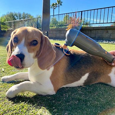 Paw Wave Perk - Percussion Therapy Pet Massager