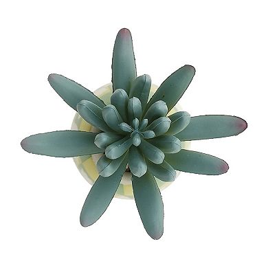 Celebrate Together Trio of Easter Egg Artificial Succulents