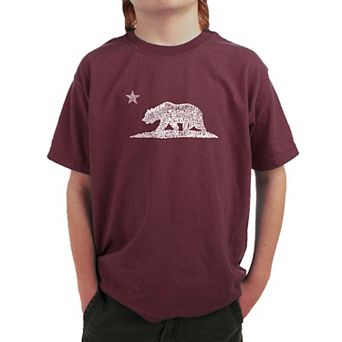 California Bear - Boy's Word Art T-shirt