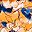 Tangerine Floral