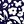 Wild Navy
