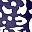 Wild Navy