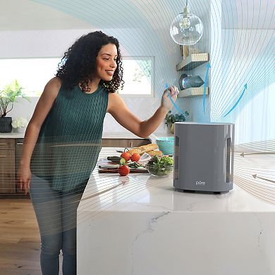 Pure Enrichment Gray True HEPA Air Purifier with UV-C Light