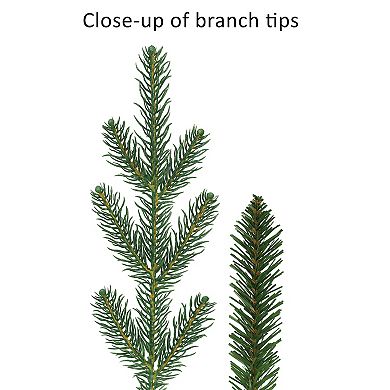 Puleo International Inc. 6.5-ft. Pre-Lit Hillside Spruce Artificial Christmas Tree