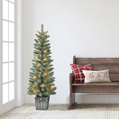 PULEO INTERNATIONAL Pre-Lit Flocked Potted Trees 2-piece Set