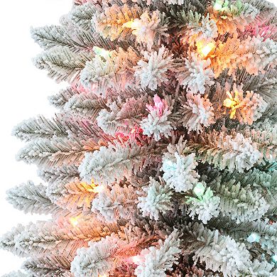 Puleo International Inc. 3-ft. Pre-Lit Flocked Artificial Fraser Fir ...