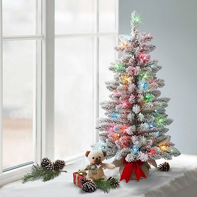 Puleo International Inc. 3-ft. Pre-Lit Flocked Artificial Fraser Fir Christmas Tree