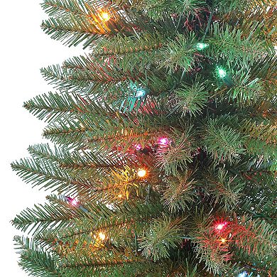 PULEO INTERNATIONAL 3-ft. Pre-Lit Artificial Fraser Fir Christmas Tree