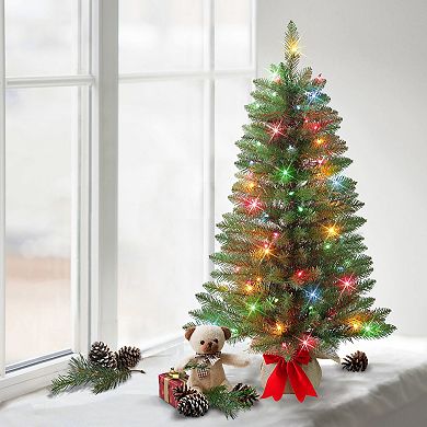 PULEO INTERNATIONAL 3-ft. Pre-Lit Artificial Fraser Fir Christmas Tree