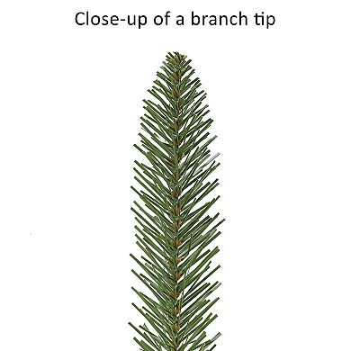 PULEO INTERNATIONAL 3-ft. Pre-Lit Artificial Fraser Fir Christmas Tree