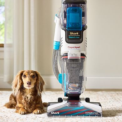 Shark® CarpetXpert with Stainstriker, EX201, Pet Carpet and Upholstery Cleaner Machine with Built-in Spot & Stain Cleaner, Deep Carpet Cleaning & Tough Stain Removal, Upright Shampooer for Area Rugs, Eliminates Odors Instantly Including Pet Urine (EX201)