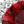 Sterling Red