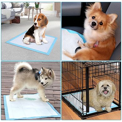 Pet Dog Training Pads Pee Mats Quick Dry