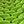 Green Black