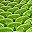 Green Black