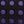 Black Purple