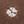 Brown Dot Dye