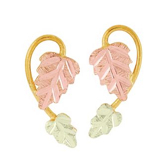 Black Hills Gold Tri-Tone Traditional Post Earrings