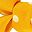 Yellow Orange
