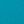 Dusty Cactus