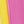 Fuchsia Yellow